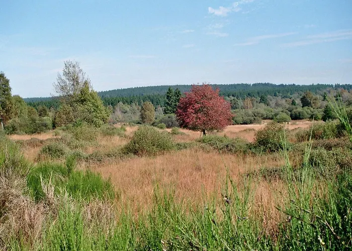 Zimmermanns 1 公寓 *