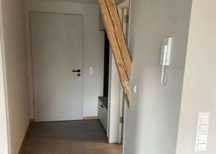 Zimmermanns 1 蒙绍