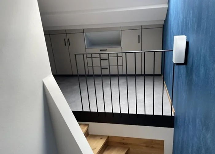 Zimmermanns 1 * 蒙绍