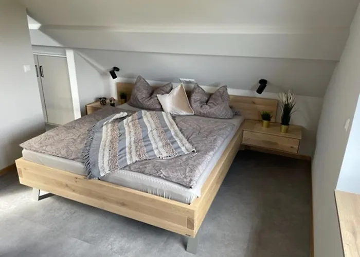 Zimmermanns 1 * 蒙绍